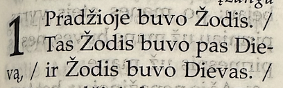 Pradžioje buvo Žodis. Tas Žodis buvo pas Dievą, ir Žodis buvo Dievas.